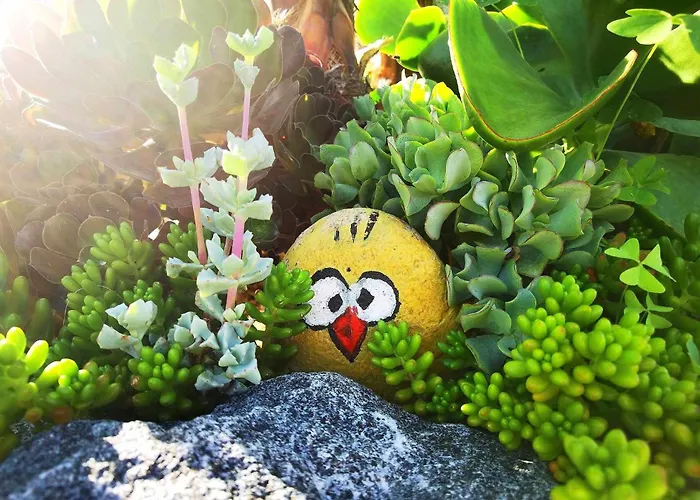 Gasthuis Casa Dos Encantos 4*